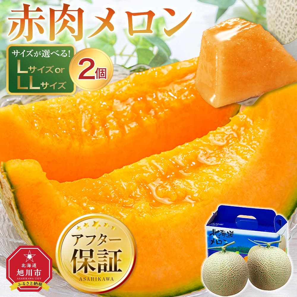 北海道 秀品 赤肉メロン L・LL玉 ×2玉